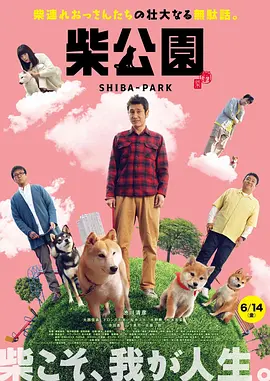 午夜视频1000部免费看
