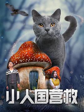 免费不卡的av