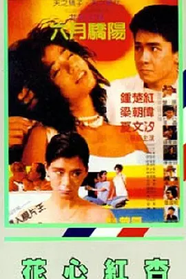 母狗般的舞蹈教师