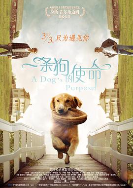 91网站观看
