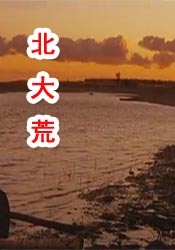 午夜探花在线