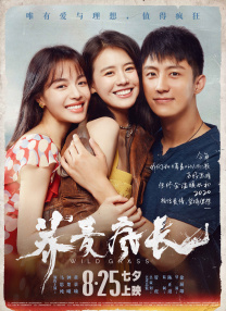 亚洲a v视频在线观看